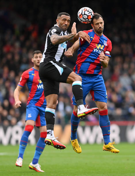 可替代性 可替代性